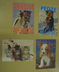 Pocztówki