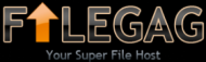 FileGag.com Premium Prawie rok do września 2013