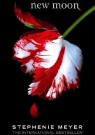 New moon