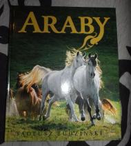 Araby : dzieci wiatru
