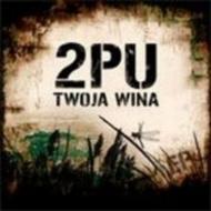 Płyta - 2PU "Twoja wina"